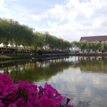 115806391_942352712908172_4143185388391909050_o-350x350