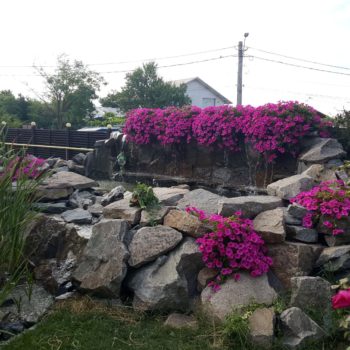 115806495_942353092908134_6805602737463817656_o-350x350