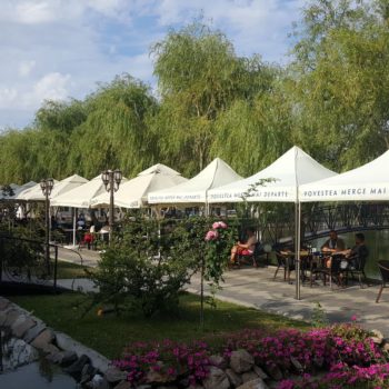 115811952_942352852908158_8497699433094557462_o-350x350