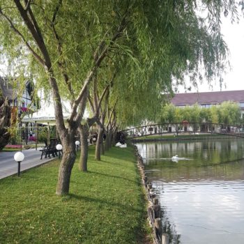 116130038_942353339574776_8336333485667272275_o-350x350