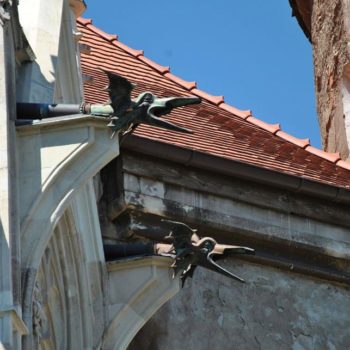 22095998_312829049193878_7142568253203966288_o-350x350