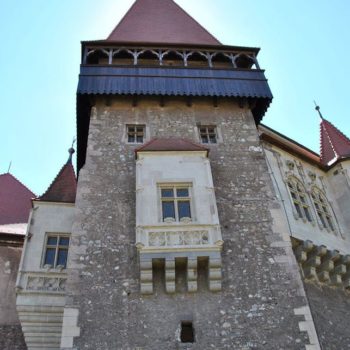 22096231_312829019193881_299397871033912892_o-350x350