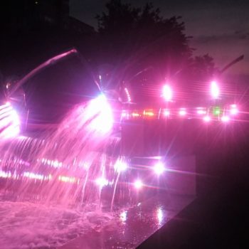 22104548_313956449081138_5845984683836573516_o-350x350