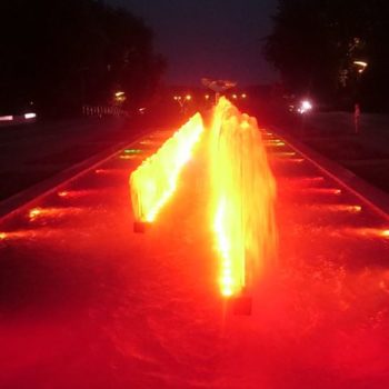 22135477_313956325747817_2828736768929978707_o-350x350