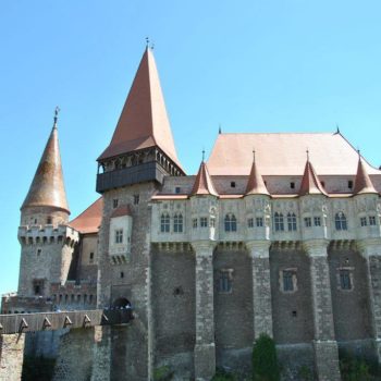 22135710_312829309193852_2360678232450753678_o-350x350