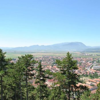 22181304_314926445650805_7325030911302639924_o-350x350