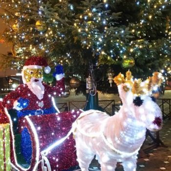 22256659_316211835522266_5473246902631326925_o-350x350