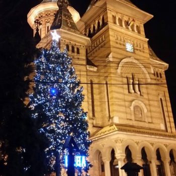 22338875_316211595522290_3160742034670215781_o-350x350