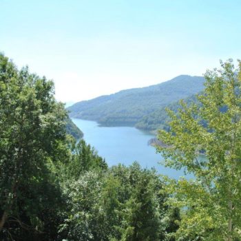 22499115_320210808455702_5958747407929966371_o-350x350