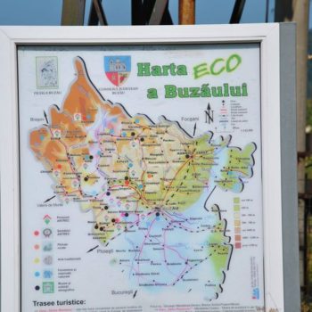 22528645_320210811789035_2555294289136796164_o-350x350