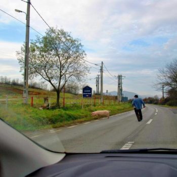 23004671_324605194682930_7583088227626129056_o-350x350