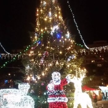 24297487_340821003061349_8982152949359540153_o-350x350