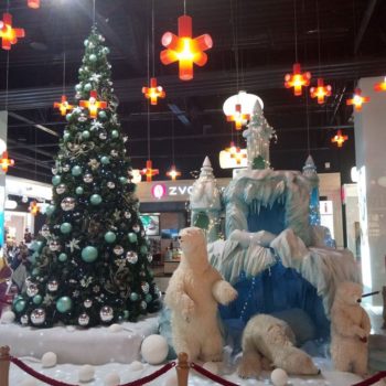 24955467_340821119728004_6389859103022627324_o-350x350