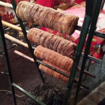 24955557_340821046394678_2861269003984472714_o-350x350