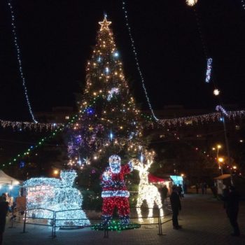 24958634_340821053061344_1825173677273969285_o-350x350