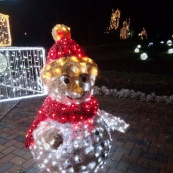 24958653_340821503061299_8763541243860364029_o-350x350