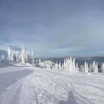 24991066_341479489662167_5725718796013906394_n-1-350x350