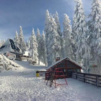 24991469_341479546328828_1508131009279104272_n-1-350x350