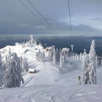 24993498_341479549662161_8017170421251534703_n-1-350x350