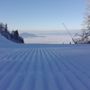 25182207_341945996282183_8400955437933252846_o-350x350