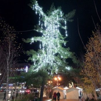 25182252_340821386394644_2776682007091726276_o-350x350