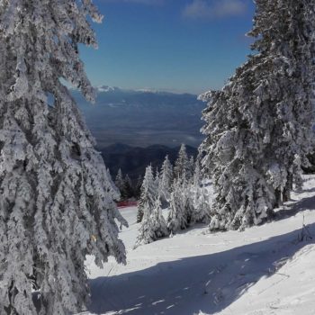 25188797_341945999615516_4698477584028471920_o-350x350