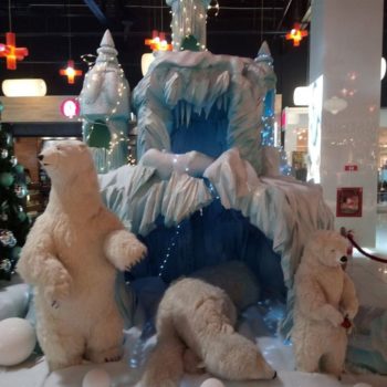 25299972_340821103061339_406185914592563576_o-350x350