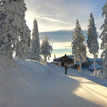 25348453_341479449662171_3675244059411098133_n-1-350x350