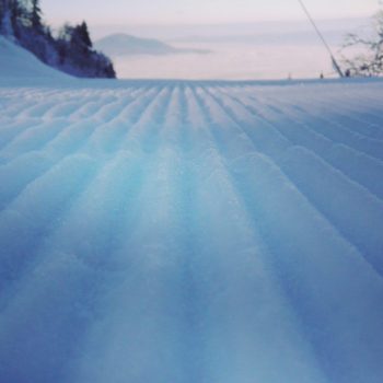 25351956_341945992948850_421922615007426032_o-350x350