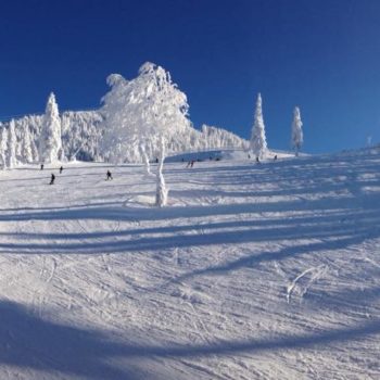 26196334_350130302130419_1693364671899186962_n-350x350