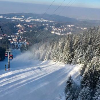 26814475_356095464867236_6119015773783953772_n-350x350