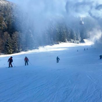 26814680_356095481533901_5123438321506081062_n-350x350