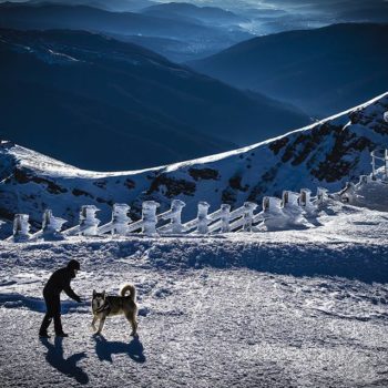 26815427_354150341728415_8812953168471665214_n-350x350