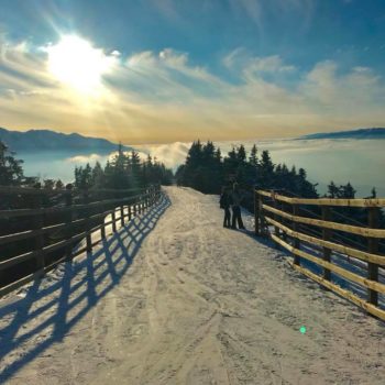 26903825_356095348200581_1614069347210384102_n-350x350