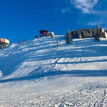 26904175_356095351533914_6906321335066744237_n-350x350