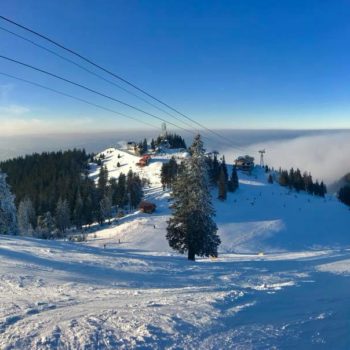 26907679_356095411533908_7041244826956884806_n-350x350