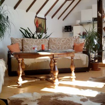 27503277_364292787380837_7306335858080567507_o-350x350