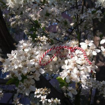 28377470_373940376416078_2830129917364484691_n-350x350