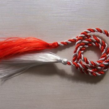 28378985_373940369749412_1574187004628580246_n-350x350