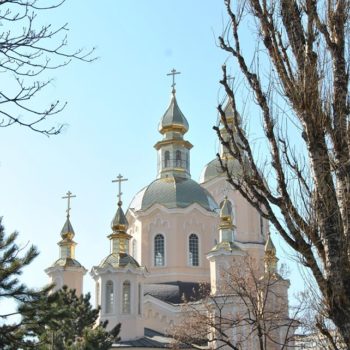 28827417_379142485895867_5195051396837206206_o-350x350