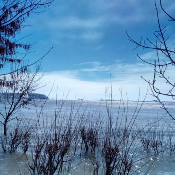 29060160_384772625332853_7854941392178953188_o-350x350