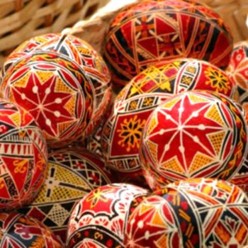 29060873_386044001872382_9162662874195272736_o-350x350