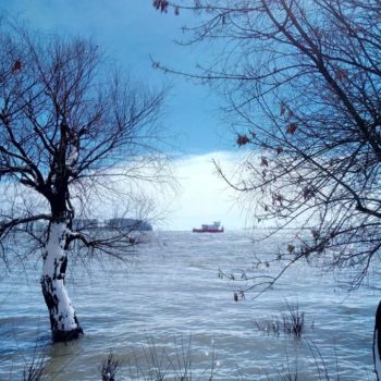 29064448_384772701999512_1624605577879577013_o-350x350