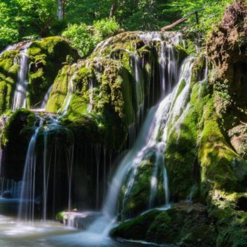 29745034_388485818294867_2749848489797237493_o-350x350