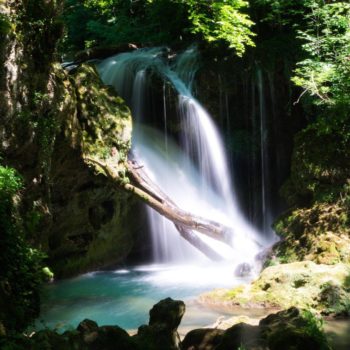 29749670_388485864961529_401403785675248166_o-350x350