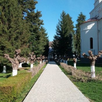 29872369_391664274643688_5688199733478778907_o-350x350