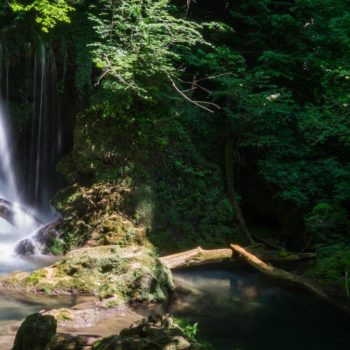 29872490_388485808294868_6320576031891262459_o-350x350