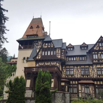 31631914_405467096596739_7988303596175228928_o-350x350