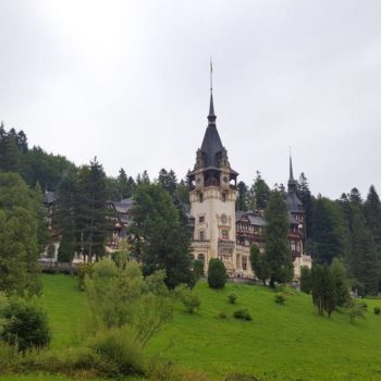 32599638_405467093263406_3620354841492062208_o-350x350