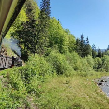 32665312_406376526505796_6726503867455897600_o-350x350